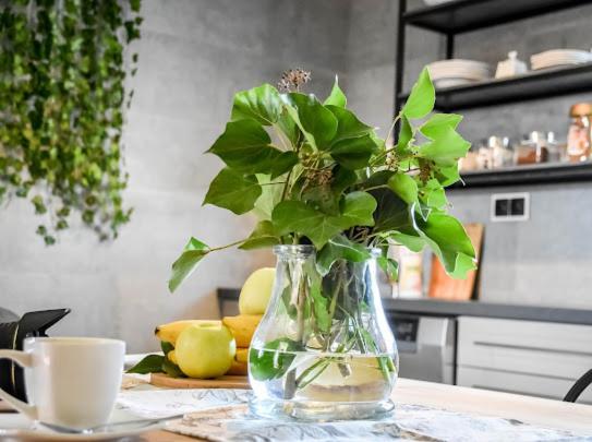 Atlas Chmur Apartament Biały Dunajec Esterno foto