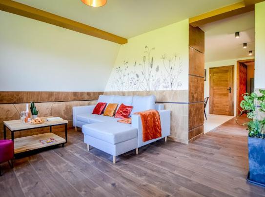 Atlas Chmur Apartament Biały Dunajec Esterno foto
